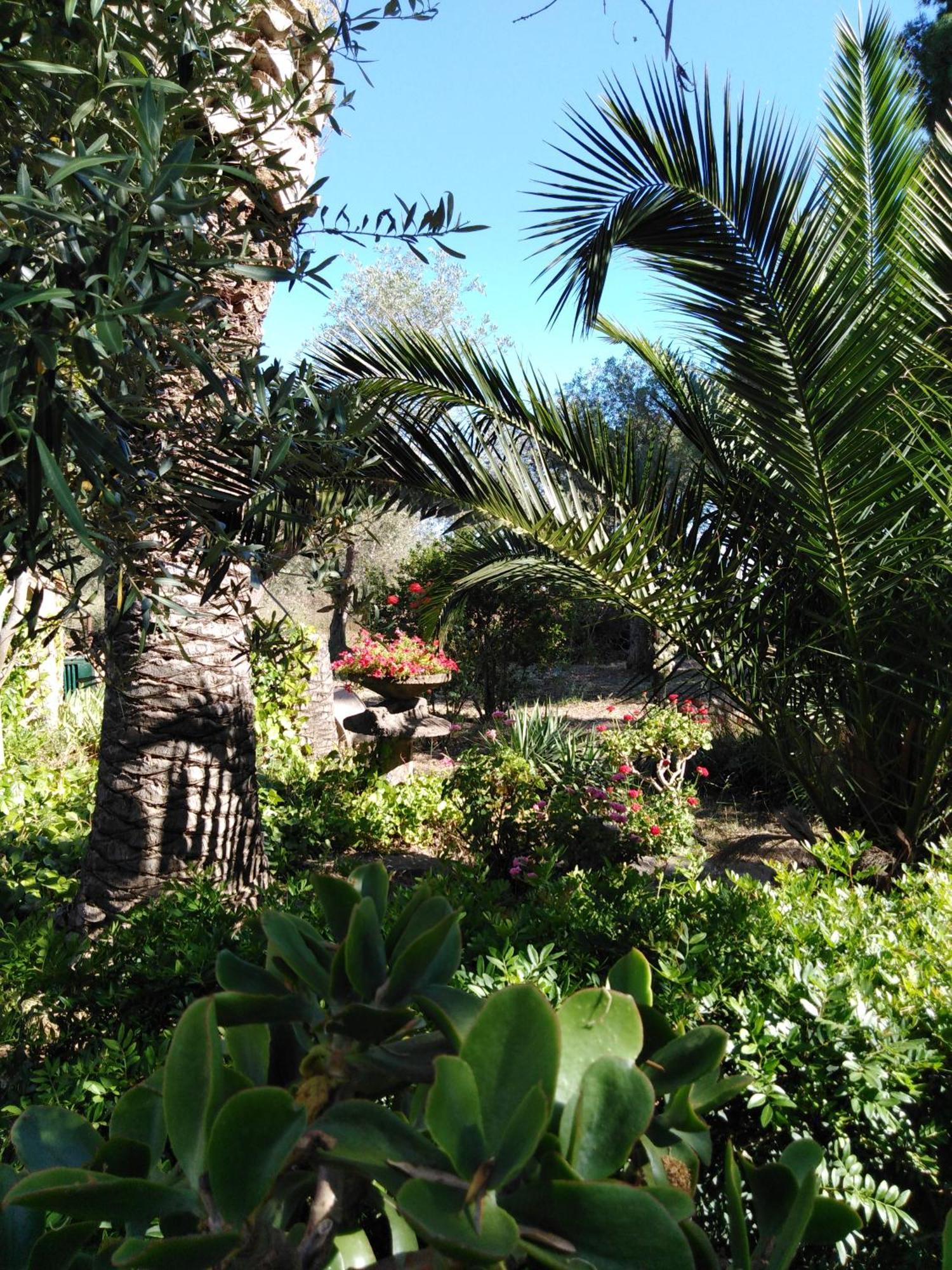 Villa La Rucchetta Alghero Ngoại thất bức ảnh